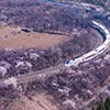 train
