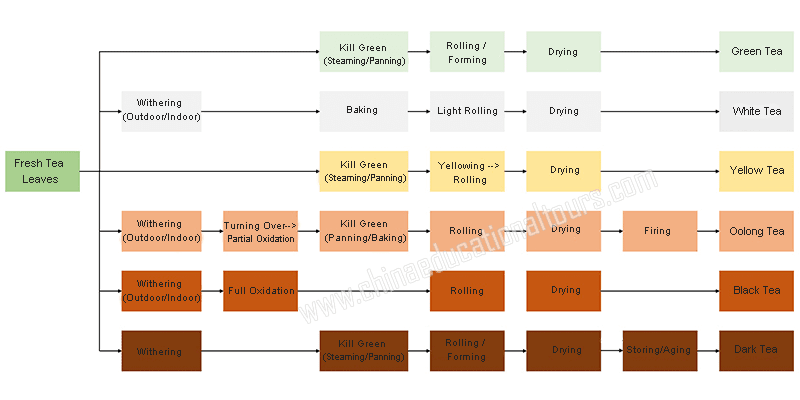 Tea leaf processing methods