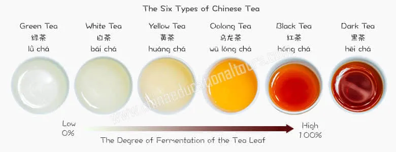 The 6 type of Chinese tea