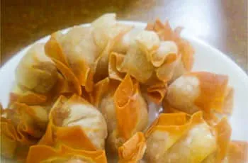 fried wonton