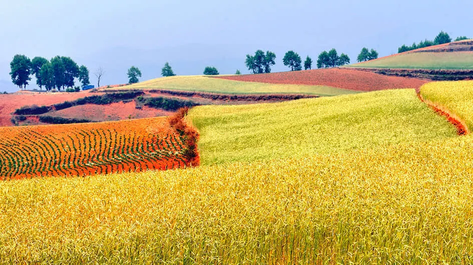 beautiful dongchuan