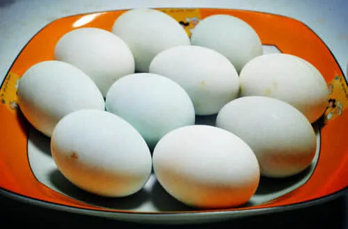 Salted Duck Egg