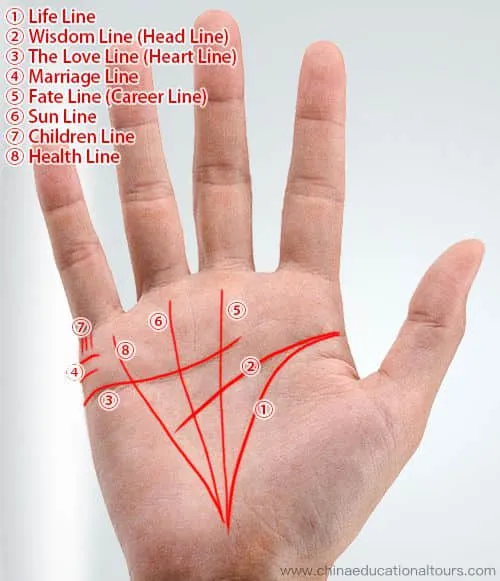How Chinese Palmistry Works, Palm Reading Guide, Palm Lines Meaning