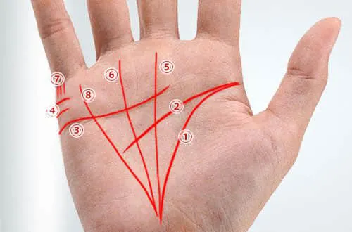 Palmistry - An Essential Guide