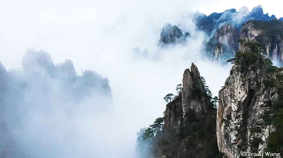Yellow Mountains Photography Tour