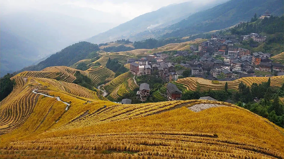 Longji in Autumn