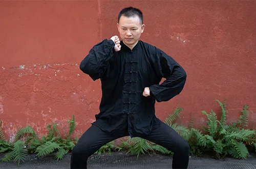 Bajiquan