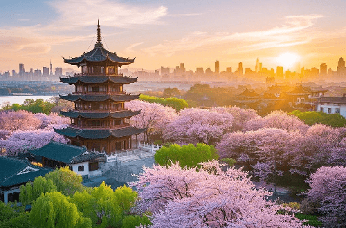 Wuhan Cherry Blossom Tour
