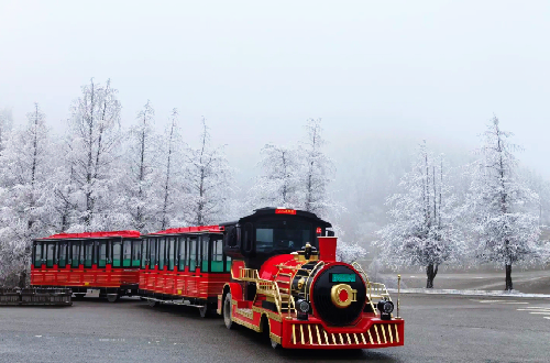 Chongqing Weather in January