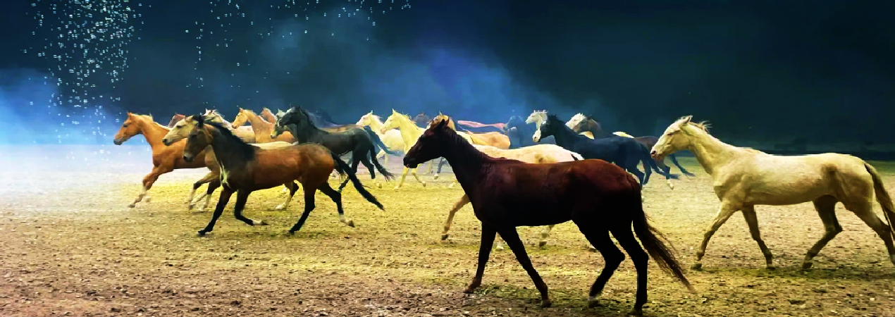Xinjiang Ancient Ecological Park