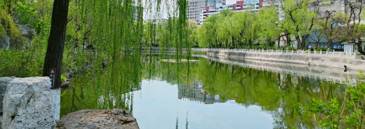Wenying Park