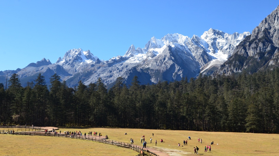 The Ecosystem of Jade Dragon Snow Mountain