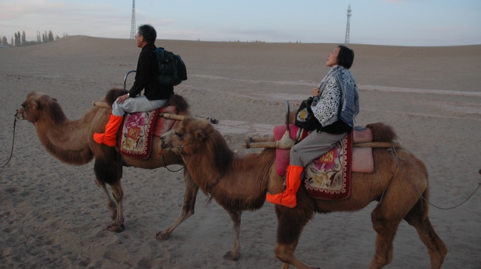Experience of Riding a Camel