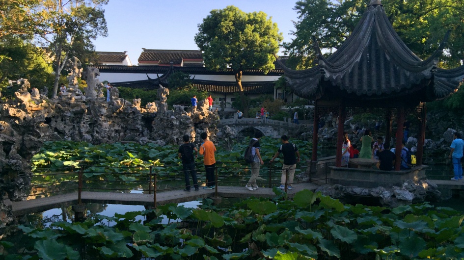 In-Depth Study of Suzhou Garden Layout at Lion Grove Garden