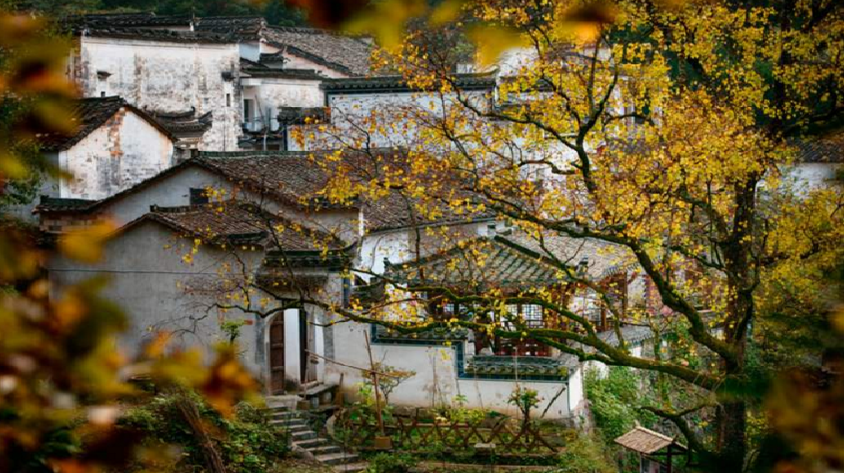 Hongcun Village
