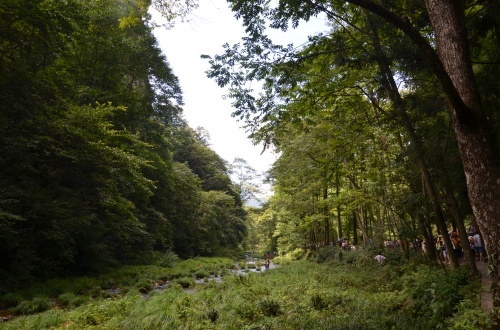 Beautiful Scenery of Jinbian Stream